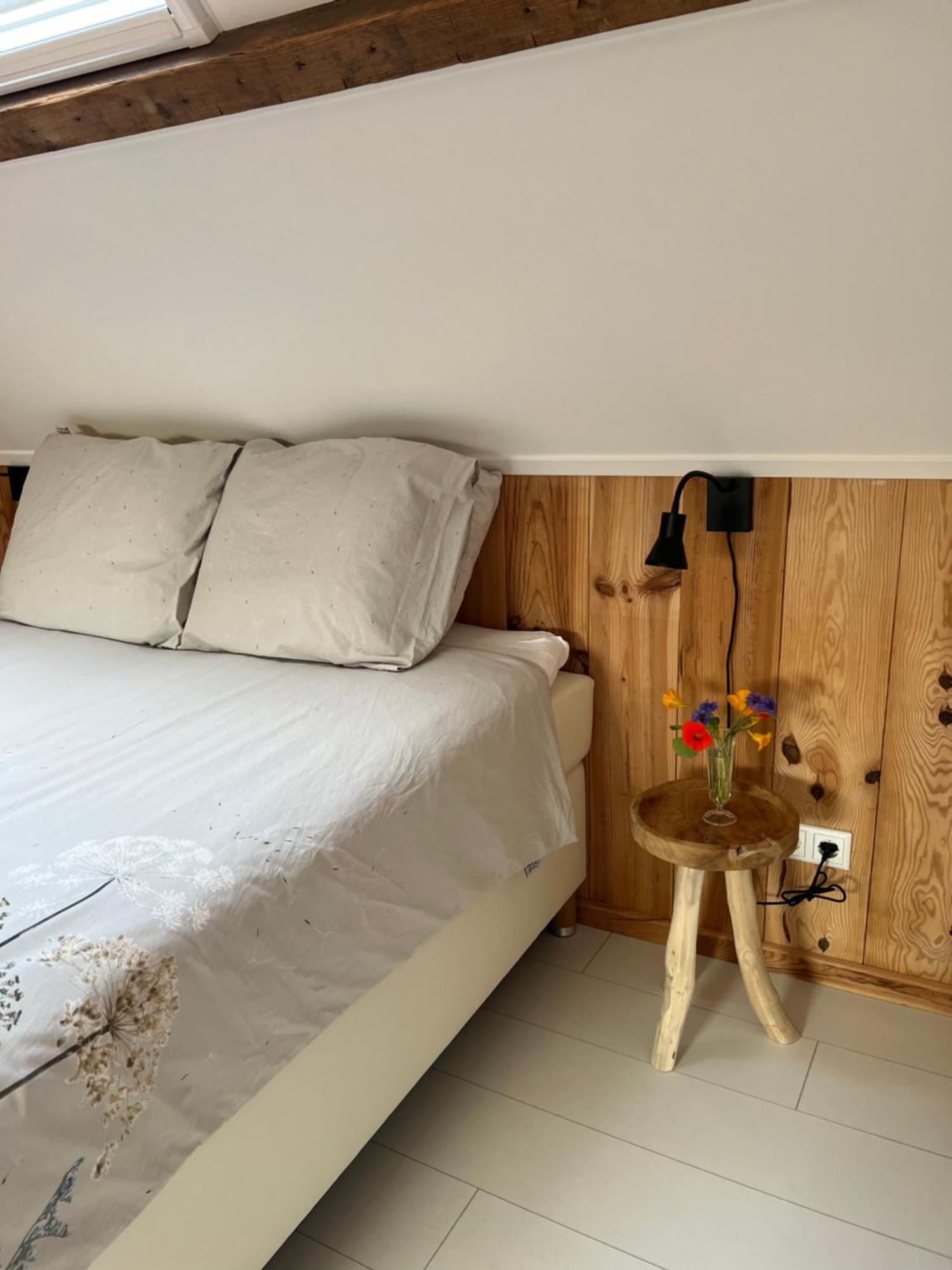 B & B 'Droom In De Polder De Suite Met Prive Sauna Arnemuiden Exterior photo